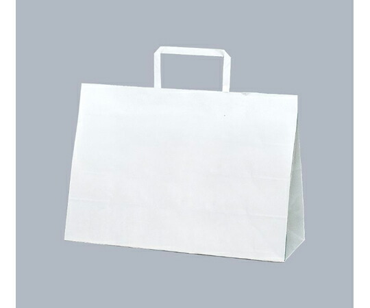 福助工業 紙手提げ袋 ラッピーバッグ No.3-SS 晒無地 1ケース（50個×6セット入） 00559363 販売単位：1ケース(50個×6セット入)