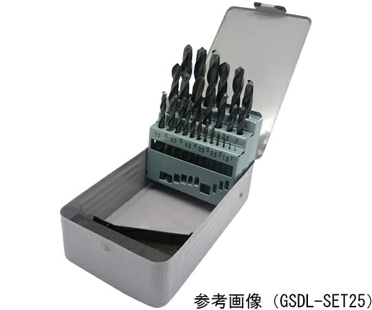ギガ・一粒選り ストレートハイスドリル25本仕掛ける GSDL-SET25 売りわたすユニット：1組(25本入) その他-医薬品・コンタクト・介護