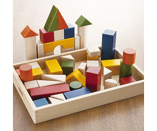 アズワンカタログ掲げる品 目あたらしい積み木色合い積み木のほん付 BZID001 売りわたすユニット：1個