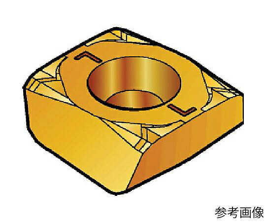 サンドビック オートAF切り手用心付け（170） 3020 1書き割り（10個入） N260.81204F 売りわたすユニット：1書き割り(10個入)