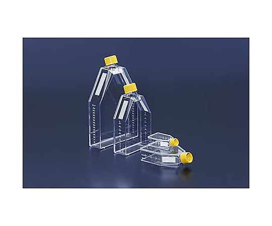TPP 細胞培養フラスコ 150cm2 フィルターキャップ 1セット（36個×4パック入） 90151 販売単位：1セット(36個×4パック入)