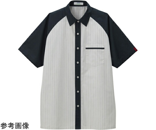 カーシーカシマ CAREAN 半袖プルオーバー VARIETY SHIRT 010-4 緑であること 3L CSY010 売りわたすユニット：1枚