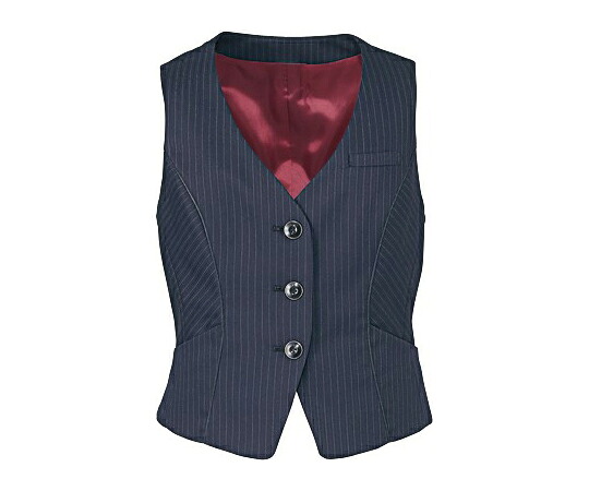 カーシーカシマ ENJOY ベスト 美スラッとSuits TREVIRA STRIPE 475-2 19号 EAV475 販売単位：1枚