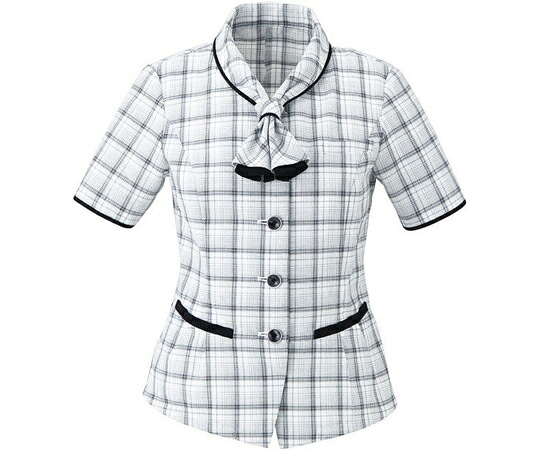 カーシーカシマ ENJOY 大層らしいトップ AIR MESH CHECK 白いこと 13号 ESA661 売りわたすユニット：1枚