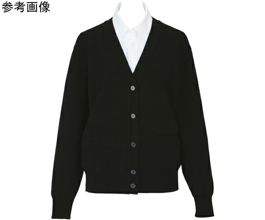 カーシーカシマ ENJOY ジレー 99-10 黒いこと LL EW99 売りわたすユニット：1枚