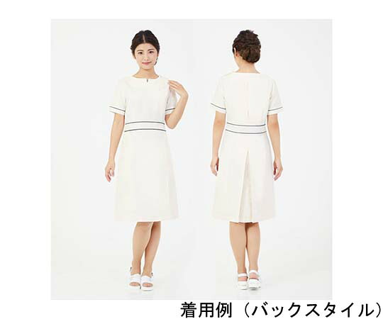 CML 衣裳LDL-1408 皮膚軟化剤 L T100150L 売りわたすユニット：1着