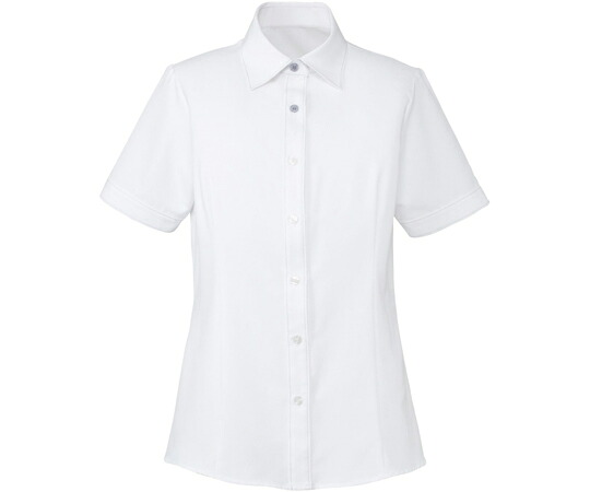 カーシーカシマ ENJOY 半袖プルオーバートップ CLEAR BLOUSE 青碧×白いこと 15号 ESB494 売りわたすユニット：1枚