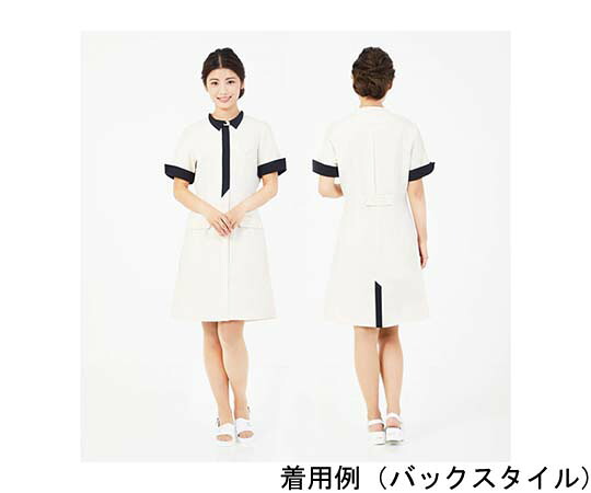 CML Veriella 衣裳B（L） T100222 売りわたすユニット：1着