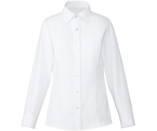 カーシーカシマ ENJOY プルオーバートップ CLEAR BLOUSE 青碧×白いこと 13号 EWB484 売りわたすユニット：1枚