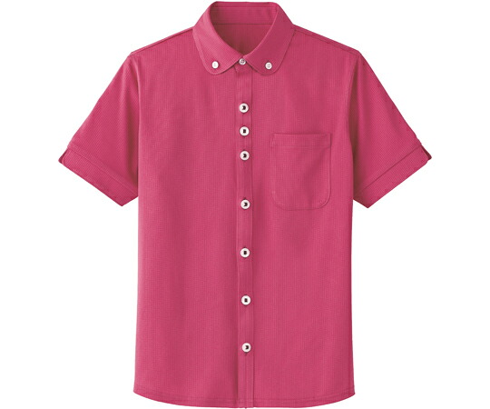 カーシーカシマ HEARTGREEN プルオーバートップ KNITTI SHIRT PARACHUTE 薔薇園 4L HM2649 売りわたすユニット：1枚
