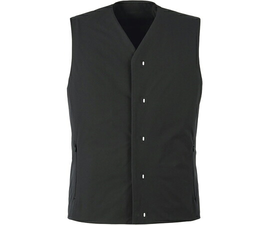 カーシーカシマ CAREAN より良い どこでも背広 193-10 4L CWX193 売りわたすユニット：1枚