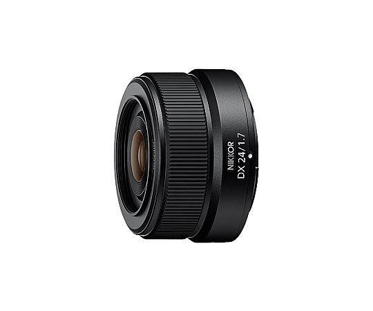 ニコン 取り替えっこ水晶体 NIKKOR Z DX 24粍 f/1.7 Z24F1.7 売りわたすユニット：1個