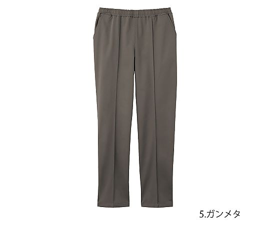 店内全品ポイント5倍★要エントリー★Dickies（フォーク） 男女兼用 ユニセックスパンツ ガンメタ SS 5036SC 1枚｜Shop de clinic店