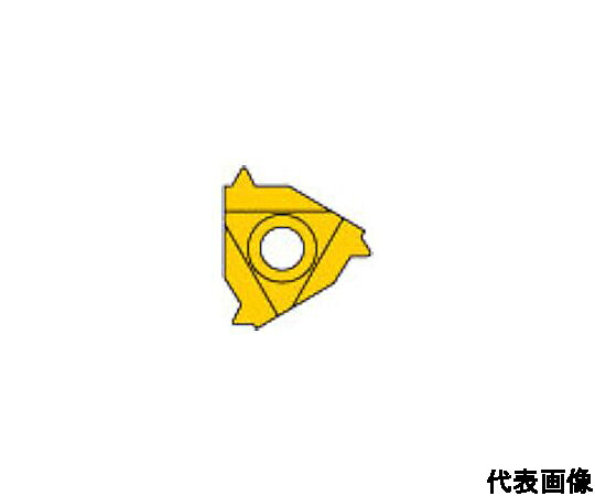 店内全品ポイント5倍★要エントリー★三菱マテリアル MMTシリーズ 外径ねじ切り加工 MMTEバイト用 PVDコーティング 全面研削形インサート 1セット(5個入) MMT22ER400ISO VP10MF 1セット(5個入)｜Shop de clinic店