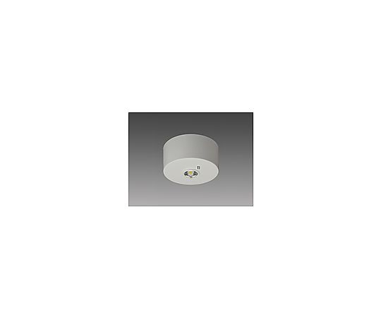 店内全品ポイント5倍★要エントリー★三菱電機 直付非常灯BT付低天井用 EL-CB21011 1個|Shop de clinic店
