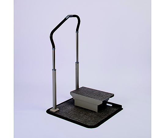 店内全品ポイント5倍★要エントリー★パナソニックエイジフリー スムーディ ステップサポート 片手すり 踏み台1段 XPN-L80653 1台｜Shop de clinic店