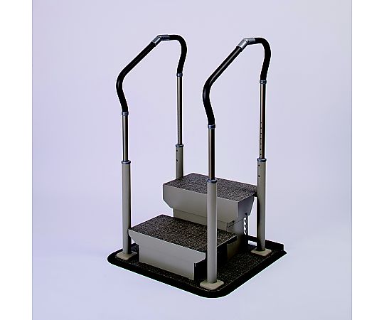店内全品ポイント5倍★要エントリー★パナソニックエイジフリー スムーディ ステップサポート 両手すり 踏み台2段 XPN-L80656 1台｜Shop de clinic店