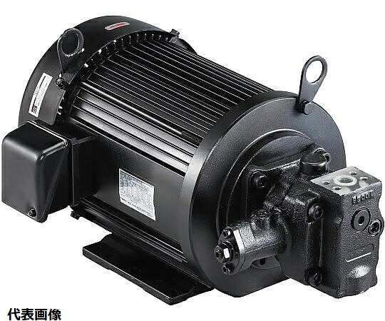 店内全品ポイント5倍★要エントリー★不二越 ベーンポンプ 39 cm3/rev 2～7MPa VDC-2A-2A3-20 1個｜Shop de clinic店
