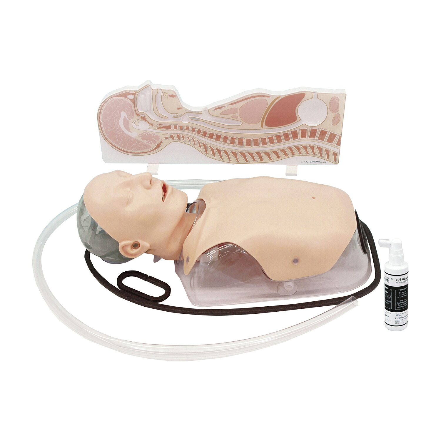 京都科学 経管栄養シミュレータ（経鼻経口胃ろう 11386-000(MW8)｜Shop de clinic店