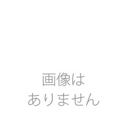先端チップ 32.0φ用-20mL SS-PTS3200