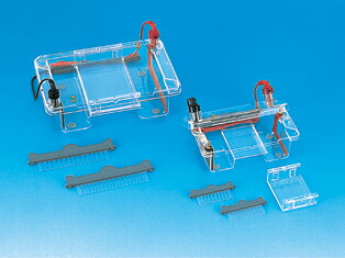 【メーカー直送品】【代引不可】Fine電気泳動装置 FSE-M FSE-M|Shop de clinic店