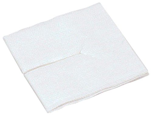 【貨物輸送無料】竹虎（竹虎） トラーグルＧ １号 ７．５×７．５ｃｍ １００枚入