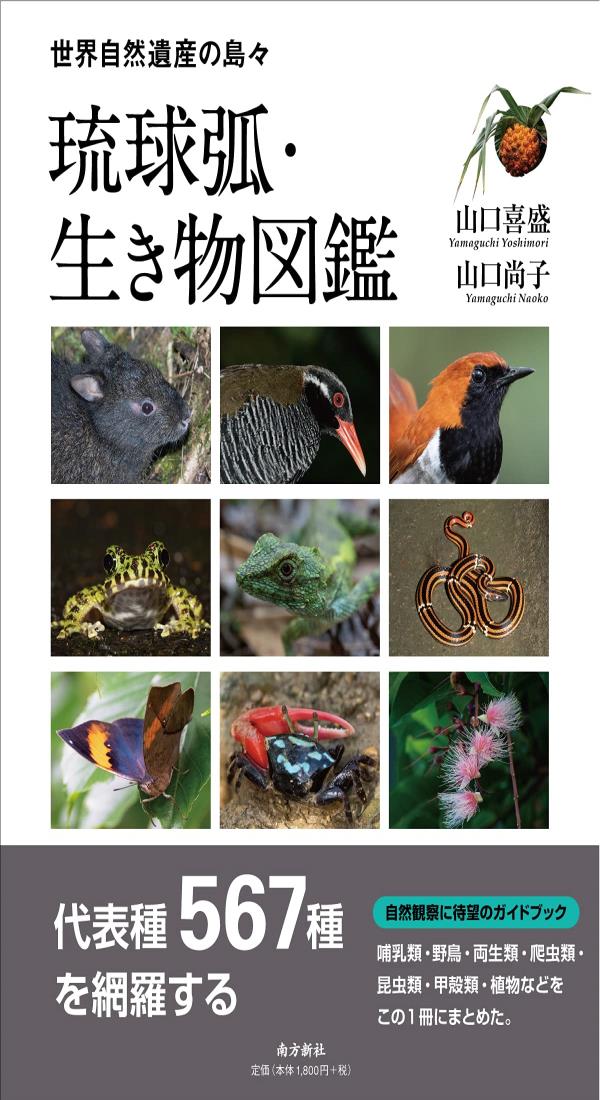 【楽天市場】琉球弧・生き物図鑑：shopevergreen