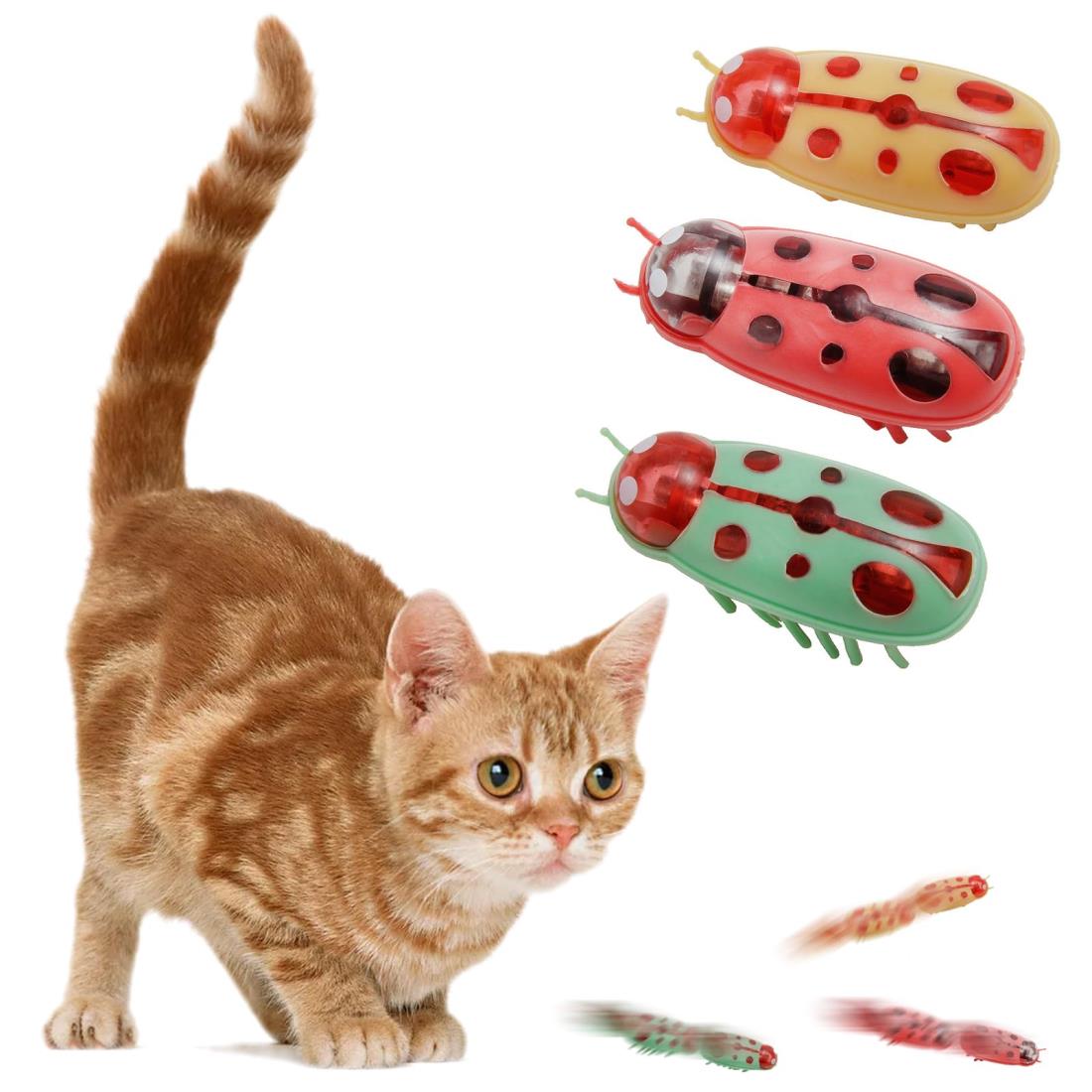 楽天市場】KASELIN 電動おもちゃ 虫 3個セット 電池式猫ちゃんおもちゃ