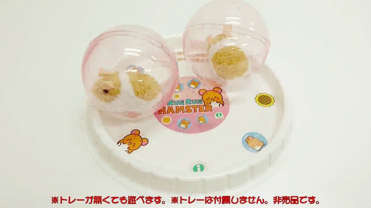 市場 新品 電動ぬいぐるみ 送料無料 ランランハムスター Runrun イワヤ Hamster