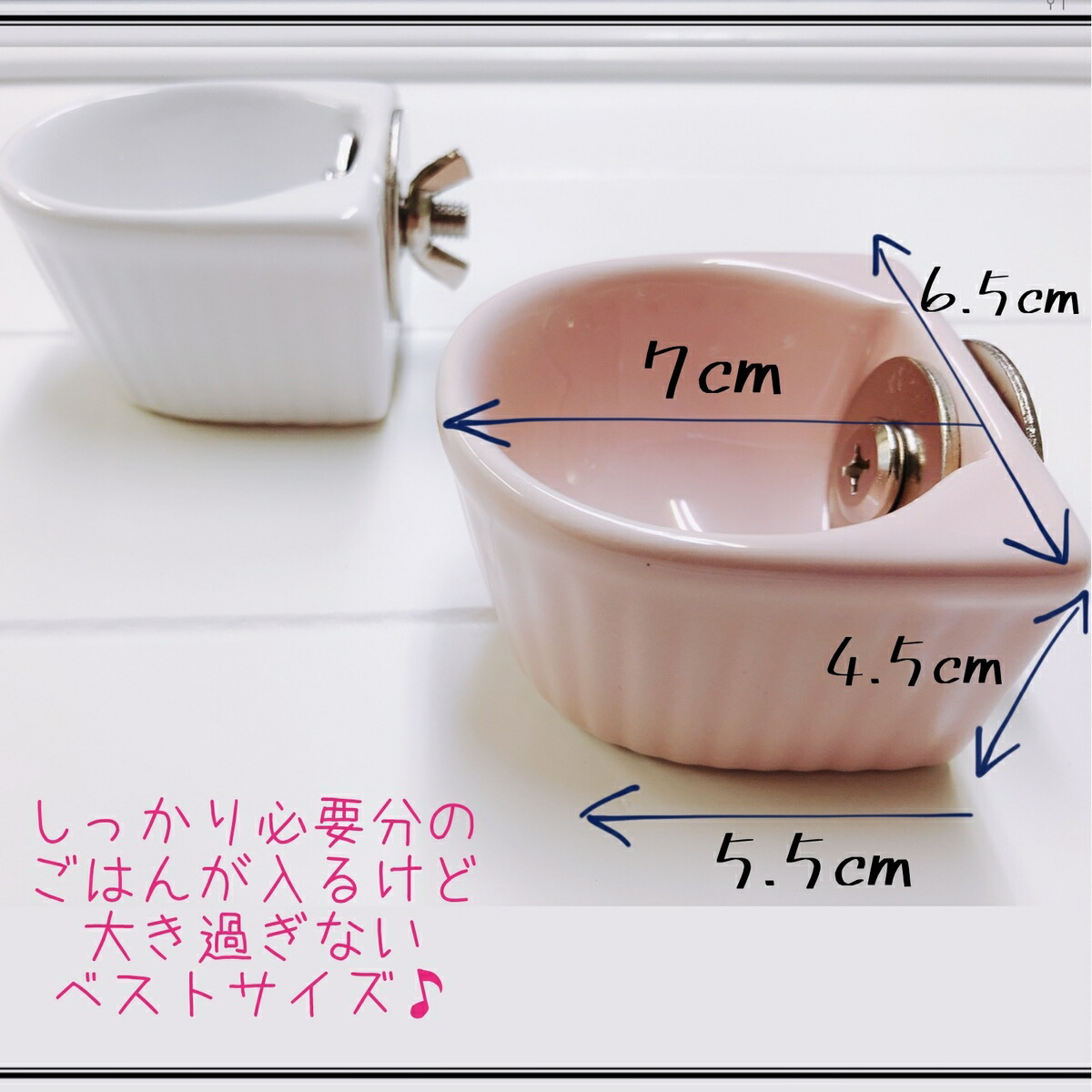 楽天市場 えさ入れ 金具付 S 小動物用 うさぎ チンチラ デグー ハムスター モルモット モモンガ 小鳥 ペット 陶器 留め具付 転落防止 Shop Fuu