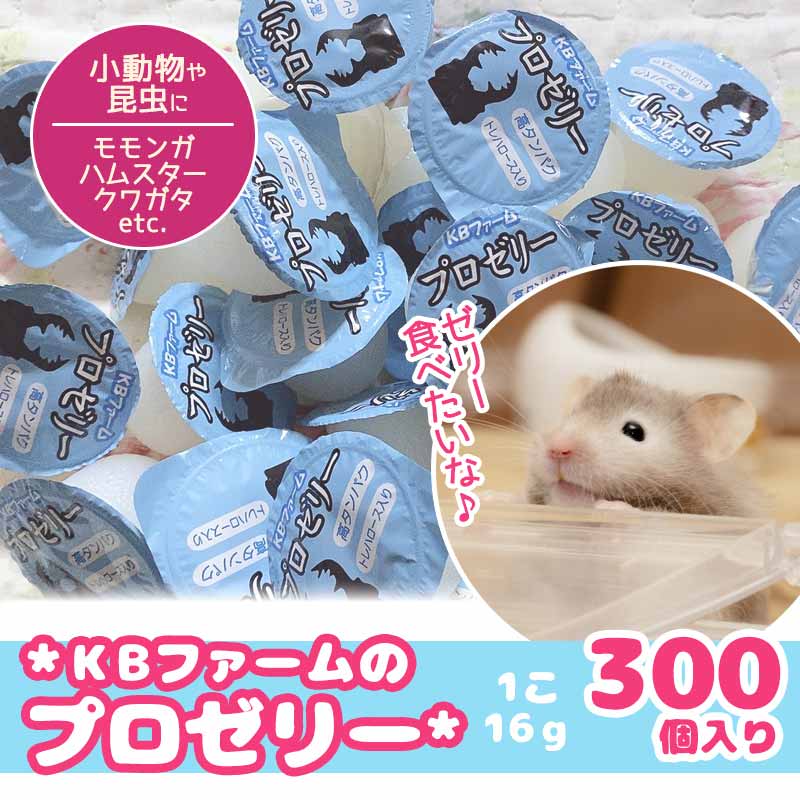 初回限定 昆虫ゼリー プロゼリー80 クワガタ カブトムシ ハムスター