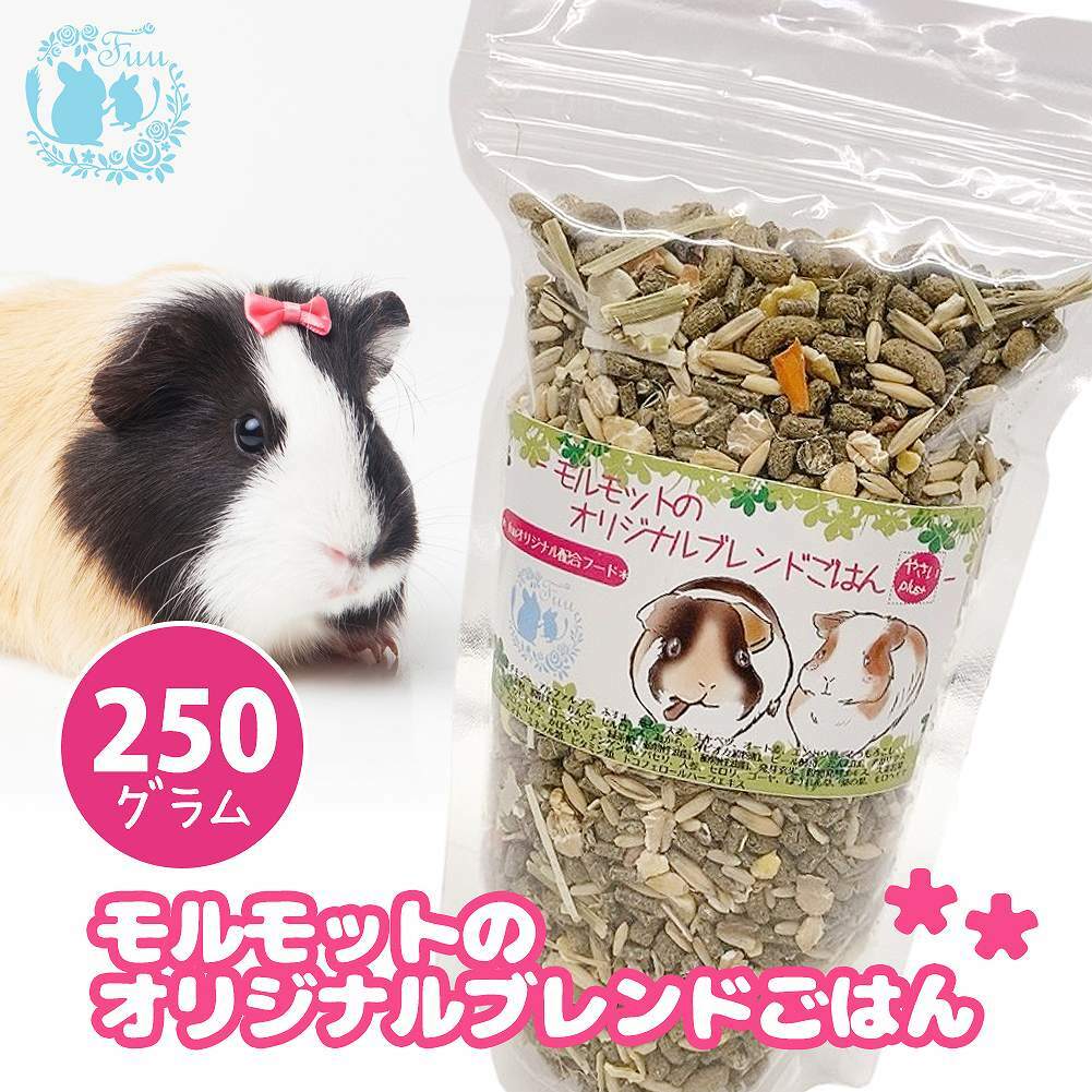 ５５％以上節約 日本ペットフード 良質素材 モルモットフード １ｋｇ 離乳直後からシニアまで