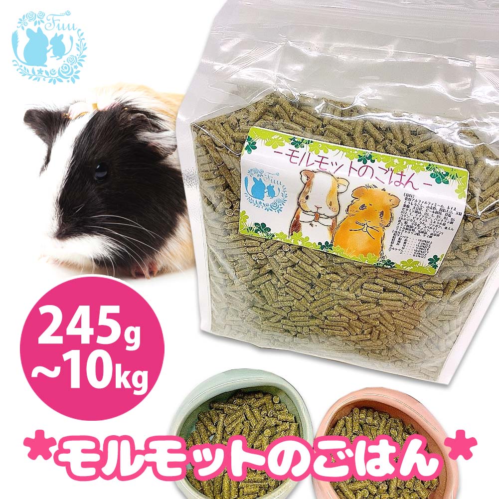 楽天市場】【最大1000円オフクーポンあり】イースター