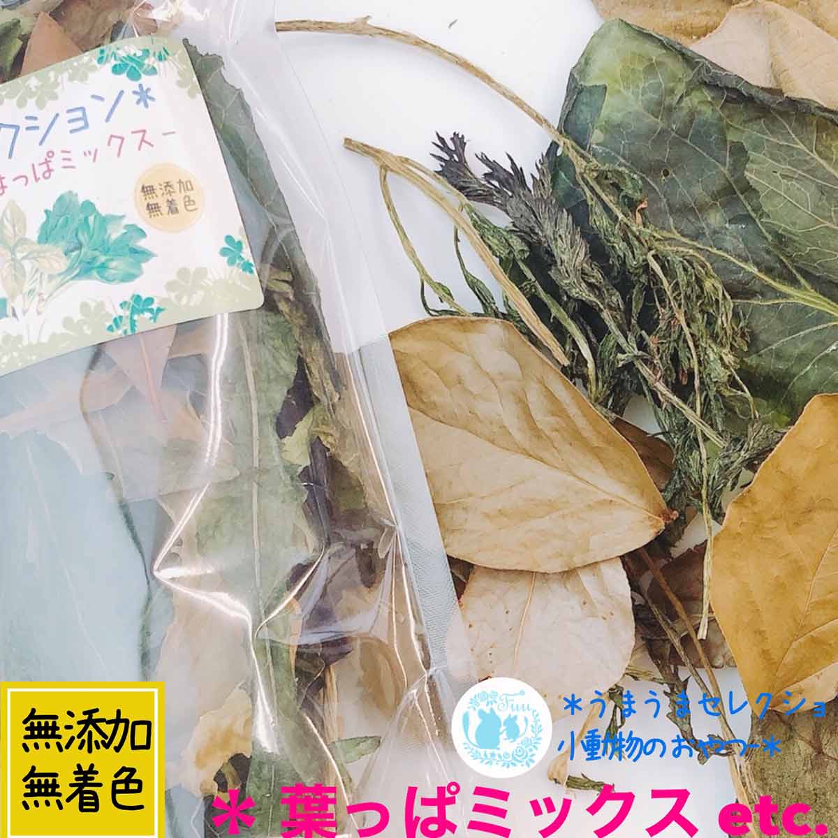 楽天市場】うまうまセレクション ＊はっぱミックス＊【 無添加 無着色 】 国産 乾燥野菜 キャベツ 小松菜 小動物用 おやつ うさぎ チンチラ モルモット デグー ハムスター：Shop Fuu