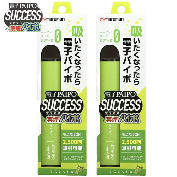 超希少【新品未使用未開封】MARUHAMA マルハマ R-612FM 廃盤品 丸山製作所 丸山製作所(マルヤマ) BIGM 背負噴霧器 15X型 : e-tool