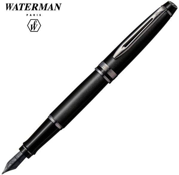 楽天市場】ウォーターマンWaterman 万年筆ルマン100 プレシャス