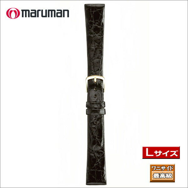 マルマン Ｌサイズ 寸長ベルト 時計ベルト 時計バンド 本ワニサイド 時計際幅 19mm 美錠幅 14mm 黒  バネ棒2本付き ネコポス便対応品