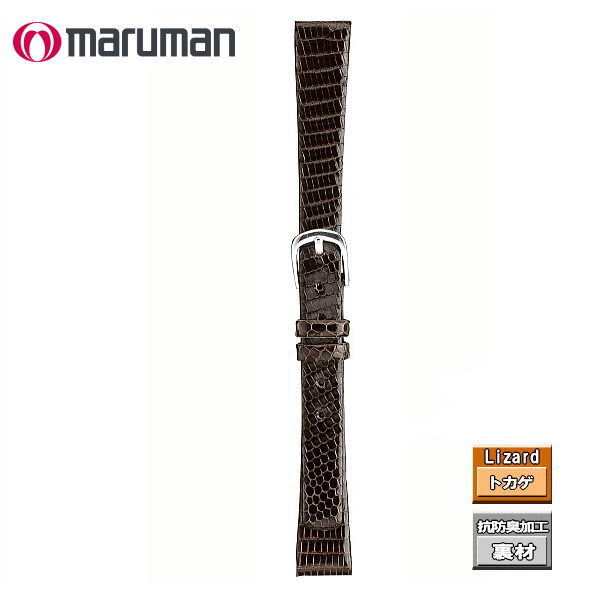 楽天市場】時計ベルト 時計バンド 時計際幅 18mm リザード トカゲ 茶