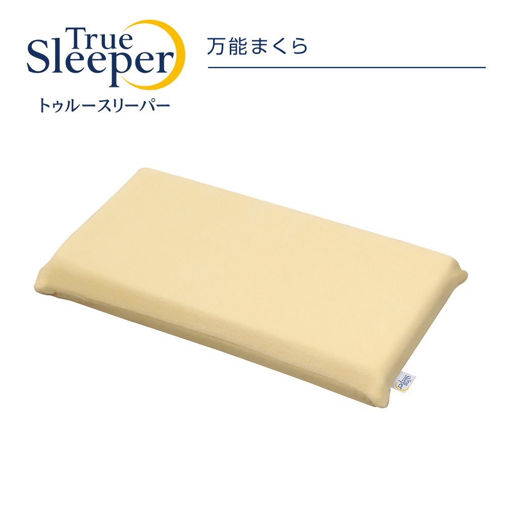 2個セット トゥルースリーパー 低反発万能まくら True Sleeper