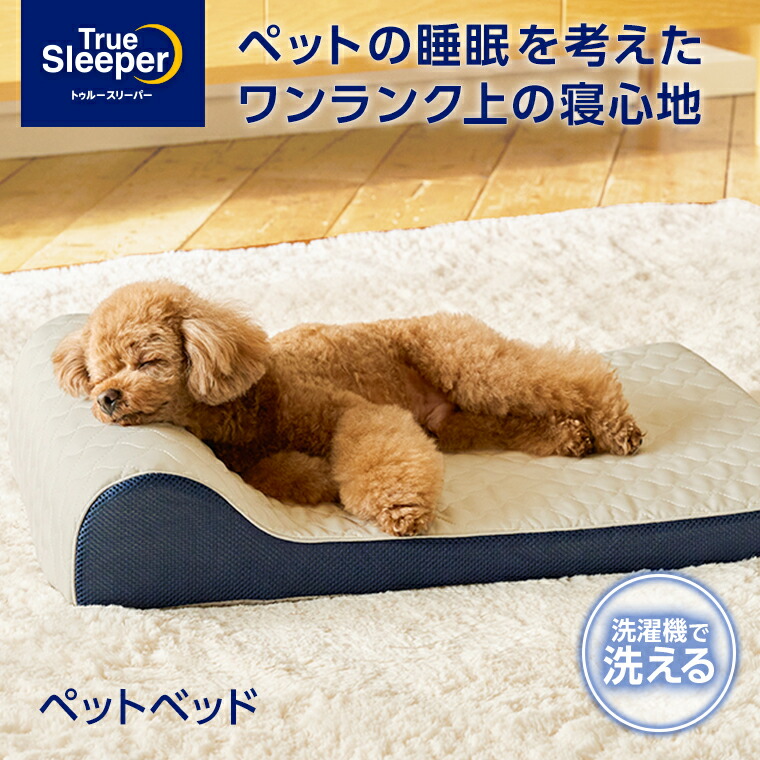 楽天市場】【正規品】トゥルースリーパー 腰らくクッション