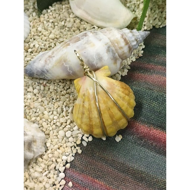 サンライズシェル ペンダントヘッド ACC749 7,950円