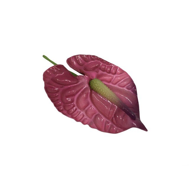 9cmアンスリウム M ピンク 品番tf94 最愛