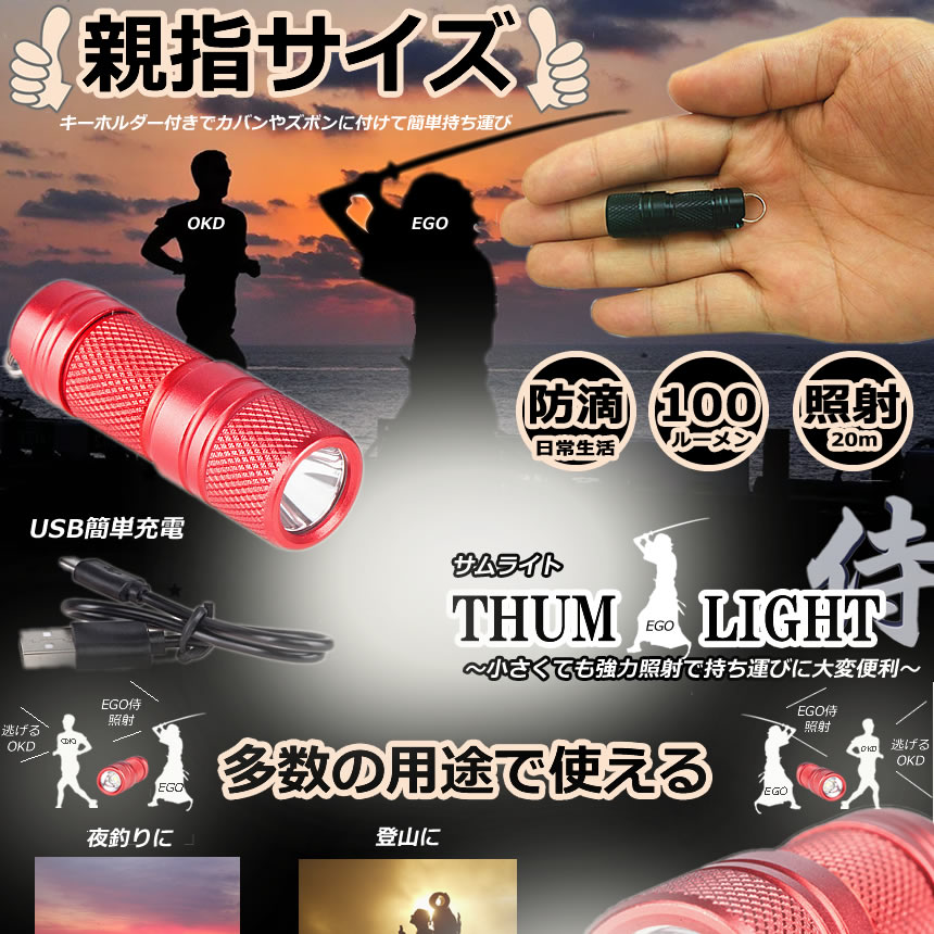 楽天市場 送料無料 ミニ Led 懐中電灯 キーライト Usb充電式 小型 軽量 100lm フラッシュライト コンパクト 室内 アウトドア Thumlight Shop Kurano