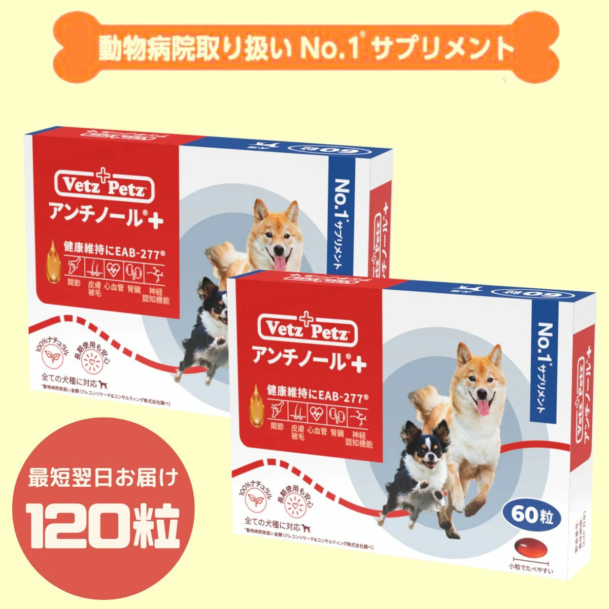 ８箱 犬用 アンチノールプラス 60粒入 Vetz Petz bak.unimed.ac.id