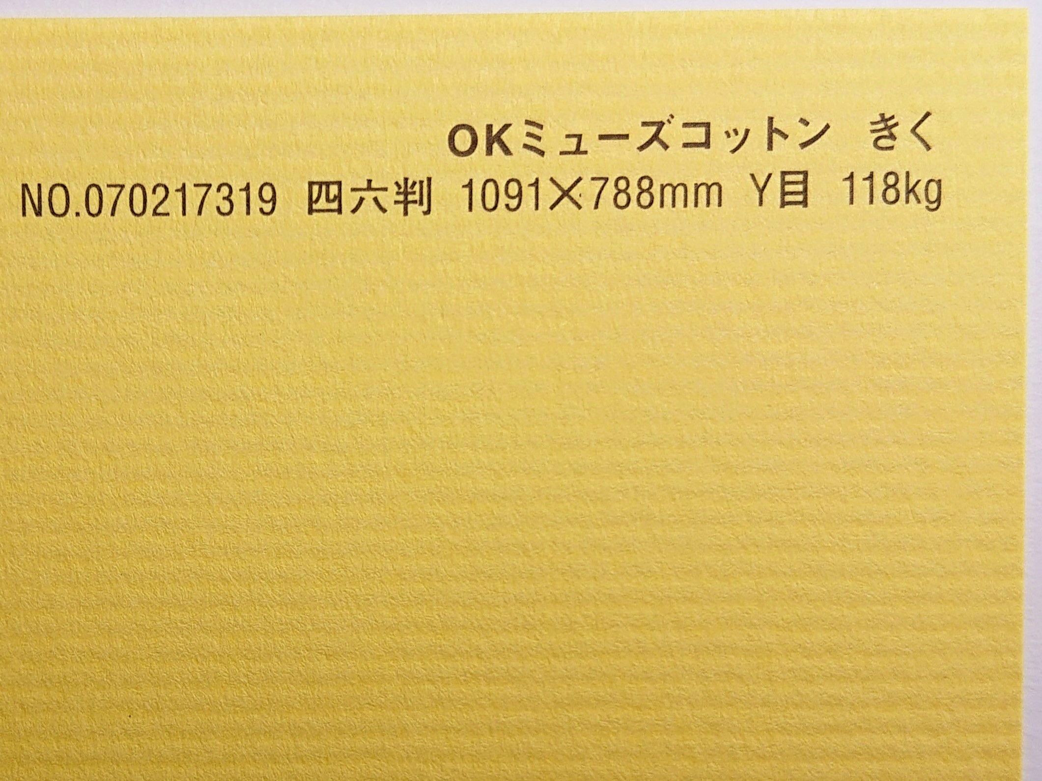 聞き届けるムーサ綿織物 紙 118kg A1大いさ 30枚入り口・入口 選べる全50色厚さ0.22粍 841mm×594粍 ファンシー調査報告 オリオン きく