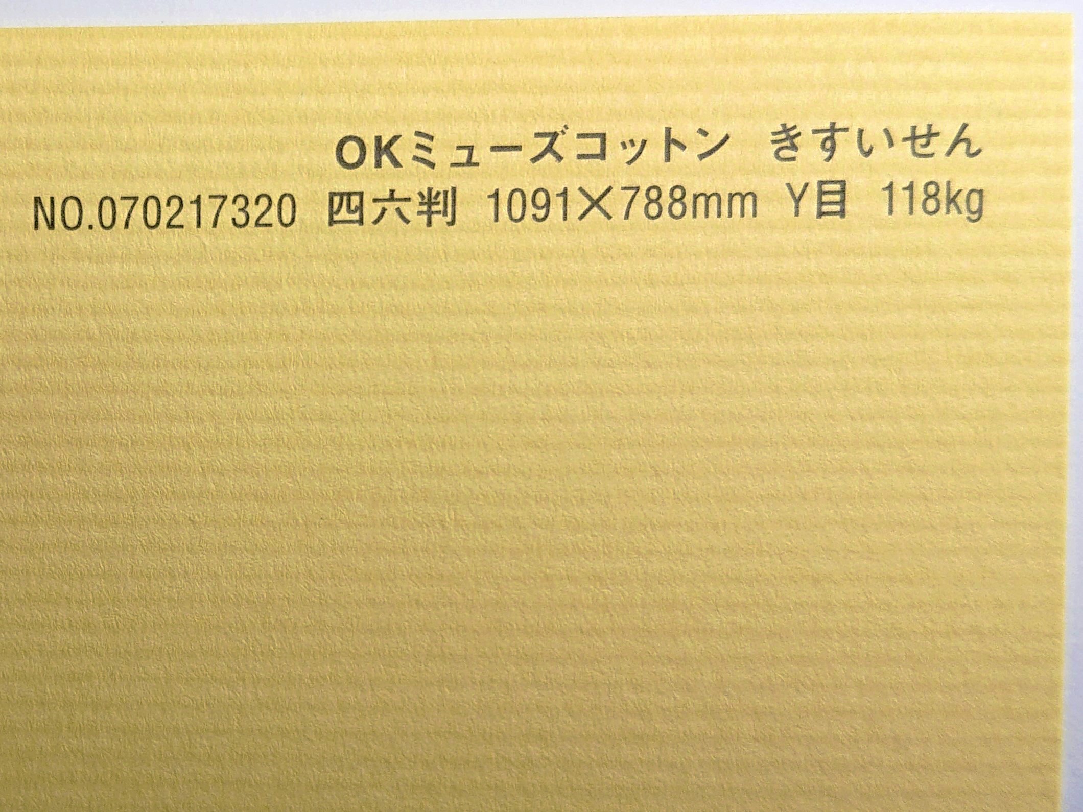 聞き届けるムーサ綿織物 紙 118kg A1大いさ 30枚入り口・入口 選べる全50色厚さ0.22粍 841mm×594粍 ファンシー調査報告 オリオン きすいせん