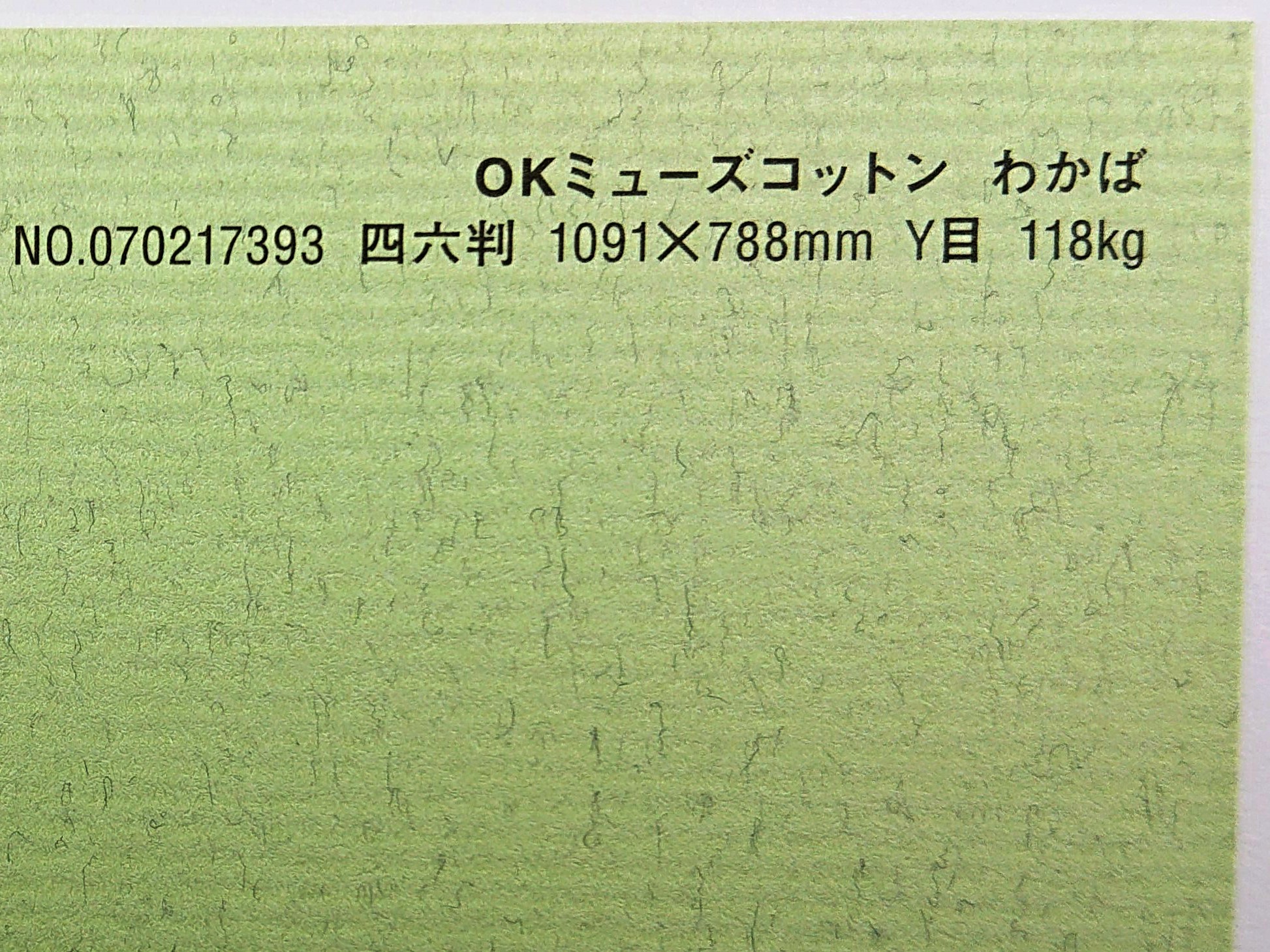 聞き届けるムーサ綿織物 紙 118kg A1大いさ 30枚入り口・入口 選べる全50色厚さ0.22粍 841mm×594粍 ファンシー調査報告 オリオン わかば