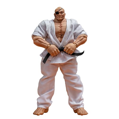 ノーツ 範馬刃牙 ｱｸｼｮﾝﾌｨｷﾞｭｱ 愚地独歩 96972｜HobbyShopぱるぱる　店