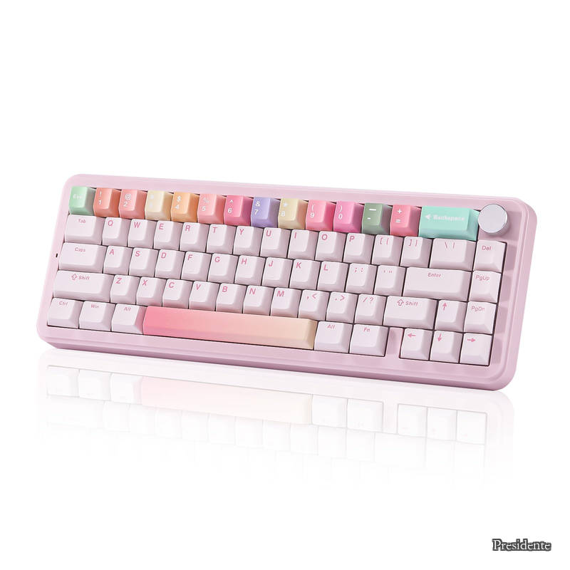 【貨物輸送無料】B68 65％ ワイヤレスメカニカルキーボード ゲーミングキーボード BT5.0/2.4GHz/有線 熱っぽいつけ替える相応う ガスケットキーボード RGBうしろ側ともし火Win/Mac用 技適公証手に入れる (サクラ色  市乳直線的V2取り替えっこ)