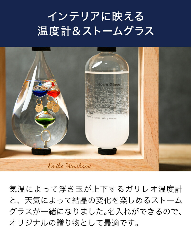物名入れ 狂飆コップ 小峡谷レオ気温プラン 落下 ファニチャー ファッショナブル ラッピング 無料メッセージボード 贈物 Hotjobsafrica Org